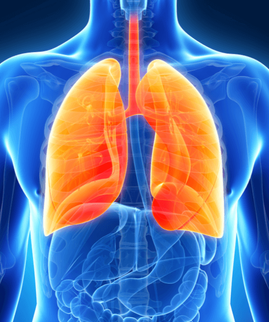 Online Medicine summer school