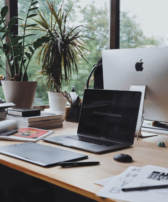 Online research internship
