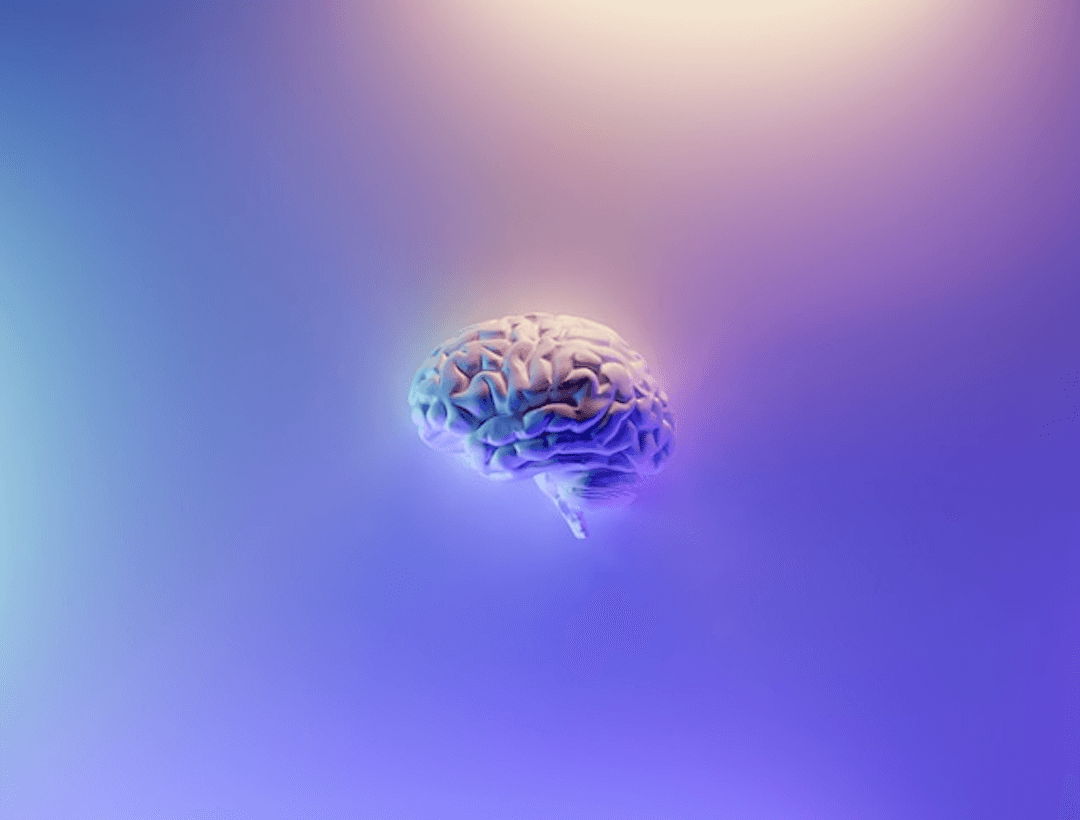 BRAIN IMAGE Student working on laptop