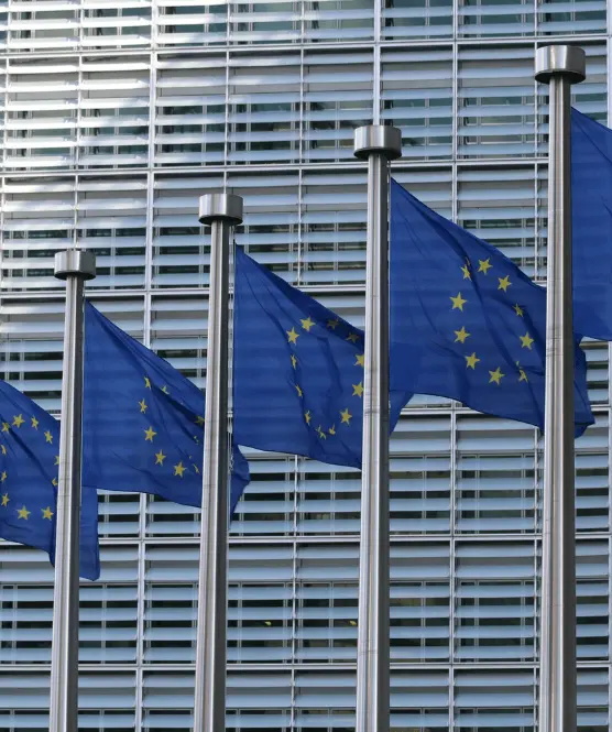 Photograph of a row of European Union flags