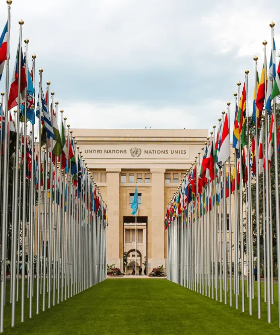 Photo of the United Nations building with two rows of flags from different countries