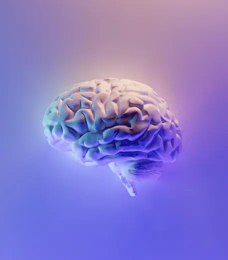 Image of a human brain on a purple background