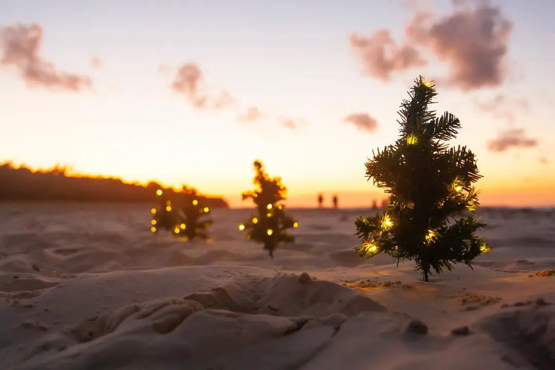 Small Christmas trees on a beach, decorated with lights
