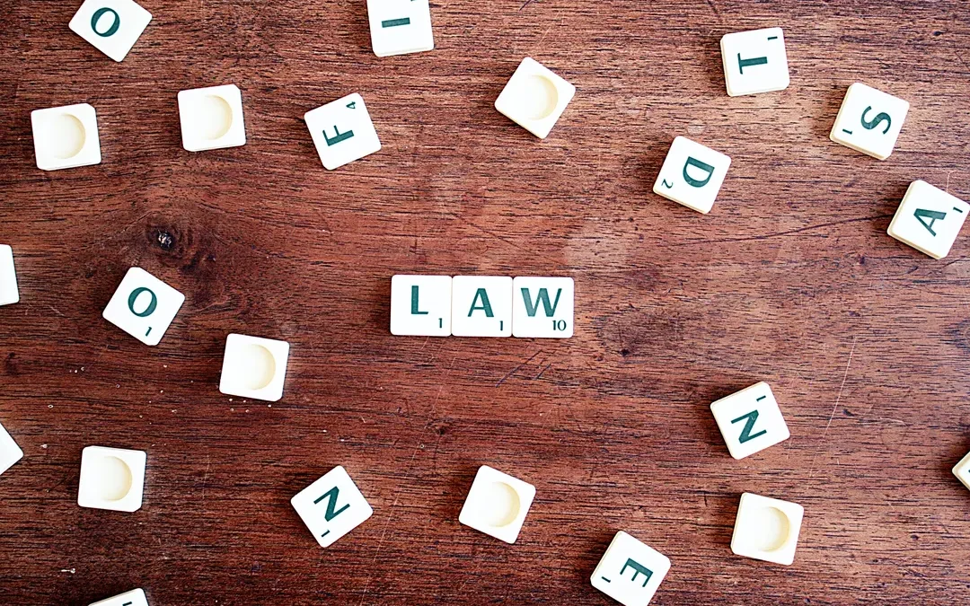 A Day in the Life of a Durham Law Student